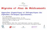 Migraine et Abus de Médicaments - pharmacovigilance …pharmacovigilance-npdc.fr/wp-content/uploads/dlm_uploads/2014/07... · Universitéde Lille 2 et CHRU de Lille. ... GRIM 2000.