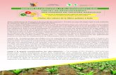 Chaîne des valeurs de la filière palmier à huile - PD CVApdcvacameroun.com/wp-content/uploads/2017/06/bristol.pdf · la réforme des prix de l’huile de palme sur le marché,