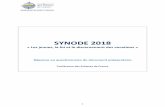 SYNODE 2018 synthèse réponses CEF · Cet été, l’équipe du SNEJV a compilé et traité les 110 réponses reçues dont 69 venant des diocèses, 18 des communautés, ...