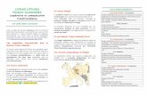 LICENCE D’ÉTUDES Un cursus intégré FRANCO …efa-cect.univ-lorraine.fr/files/2017/12/Plaquette-L-EFA-18-19.pdf · 1ère année à Metz ... Langue allemande (expression écrite