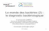 Le monde des bactéries (2) : le diagnostic bactériologiquecoursl3bichat2012-2013.weebly.com/uploads/9/6/0/7/9607940/diapos_c... · coloration de Gram : cocci à Gram positif en