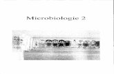amicale-sciences.framicale-sciences.fr/wp-content/uploads/2016/09/Microbiologie.pdf · UE Microbiologie 2 Session 2 UNIVERSITÉ DE STRASBOURG ... Décrivez la coloration de Gram de