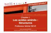 Chapitre 1 Les acides aminés : Structuresunf3s.cerimes.fr/media/paces/Grenoble_1112/seve_michel/seve_michel... · Année universitaire 2011/2012 Université Joseph Fourier de Grenoble