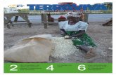 4 6 - Inter Press Service | News and Views from the … · d’hévéa. Après l’igname, le manioc est la deux-ième culture vivrière en Côte d’Ivoire, selon l’Organisation