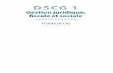 DSCG 1 - dunod.com · • Contrôle fiscal 3 Étude de cas Auditor 48 Thèmes : • Opérations sur le capital : aspects juridiques et fiscaux ... • Acquisition de titres d’une