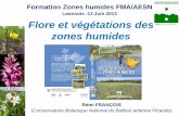 Laonnois -13 Juin 2013 Flore et végétations des zones … · Relief et hydrographie ... France et du NW européen ! • Une accumulation de tourbe qui commence ... dans les zones