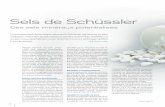 Sels de Schüssler - Jürg Lendenmannlendenmann.org/arbeitsproben/sana/vista/12_03/L_V3_12_f_JL_Dossier... · bonne santé) et le tableau de la mala-die (diagnostic personnalisé