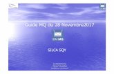 Guide MQ du 28 Novembre2017 - Demey Consultingguide2.webspheremq.fr/wp-content/uploads/2017/11/DC_GuideMQ_20… · SILCA SQY Luc-Michel Demey Demey®Consulting lmd@demey-consulting.fr