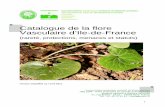 Catalogue de la flore Vasculaire d’Ile-de-France - …cbnbp.mnhn.fr/cbnbp/ressources/telechargements/Catalogue_flore_ile... · les gymnospermes (conifères et plantes alliées)