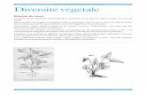 PARTIE 2 : VÉGÉTAUX ET ÉVOLUTION NIVEAU … · - angiospermes (graine dans une capsule) - anthophytes (plantes à ﬂeurs) 250 000 sp. ... mécaniques) ou trichomes (sécrétion