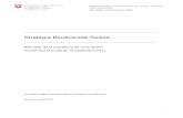 Stratégie Biodiversité Suisse - admin.ch · PDF file4.3 Diversité génétique ... 2 Définition et importance de la biodiversité 2 2 11 2.6 2.1 Définition de la biodiversité