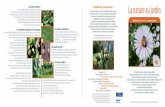 Les plantes invasives La biodiversité, pour quoi faire ...data.over-blog-kiwi.com/.../56/20161130/ob_7f5bb8_lanatureaujardin.pdf · Des poules en ville 13 Cette pratique se développe