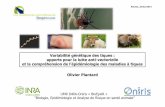 Variabilité génétique des tiques : apports pour la lutte ... · apports pour la lutte anti-vectorielle et la compréhension de l'épidémiologie des maladies à tiques Rennes,