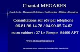Chantal MEGARES · 2016-12-02 · Les 4 accords Toltèques Que votre parole soit impeccable ! Parlez avec intégrité, ne dîtes que ce que vous pensez. N'utilisez pas la parole contre