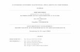 Mémoire d'Actuariat CNAM 2001 - Sophie Terriersophieterrier.com/docs/STERRIER-MemoireCNAM2000.pdf · les avantages, les inconvénients et les limites de chacune. ... III.5.a Simulation