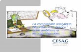 La comptabilité analytique hospitalière en France : … · comptabilité analytique sont retracés dans un tableau de synthèse des coûts par activités, présenté en valeurs