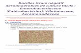 Bacilles Gram négatif aéroanaérobies de culture facile ...techmicrobio.eu/systematique/bacilles_gram-_aeroanaerobies.pdf · Systématique microbienne ... Schéma simplifié du