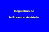 Régulation de la Pression Artérielle · PDF fileFacteurs de régulation de la PA La PA est créée par la contraction cardiaque et entretenue par les résistances périphériques