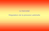 Le barostat Régulation de la pression artérielleaurelien.chateigner.free.fr/Semestre 5/SC-L5BO-06 Physiologie... · Le barostatest l’homéostat qui assure la régulation de la