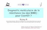 Diagnostic moléculaire de la résistance (ou des BMR ...sfc3aac4256cd47eb.jimcontent.com/download/version... · Par spectrophotométrie de masse Innovation pour l’identification