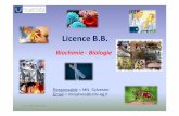 Présentation Licence BB · • Master des Sciences de la vie, de la santé, ... ECTS Total CM TD TP Coeff UEO 1.2 ... Laitet produits laitiers, Viande-poisson-œuf,