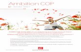 Ambition COP - caisse-epargne.fr · identification des entreprises ayant les ... 2006 2007 2008 2009 2010 2011 2012 2013 2014 2015 2016 3 / 8 ... un moment précis et qui sont susceptibles
