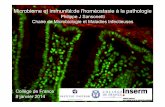Philippe J Sansonetti Chaire de Microbiologie et … · souris contre l'infection par Listeria monocytogenes ... effet de barrière « cross talk » virulence inflammation ... facteur