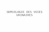 SEMIOOGIE DE VOIE URINAIRE - IASI DENTAIRE - …iasi-medecine.weebly.com/.../5482113/07_semiologie_de… · PPT file · Web viewSEMIOLOGIE DES VOIES URINAIRES SIGNES FONCTIONALES