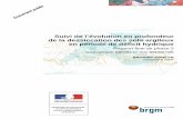 Rapport BRGM/RP-55845-FR - Accueil | InfoTerreinfoterre.brgm.fr/rapports/RP-55845-FR.pdf · Suivi de la dessiccation des sols argileux – Phase 2 Synthèse En France, les sinistres