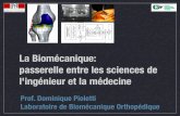 La Biomécanique: passerelle entre les sciences de l ...sti.epfl.ch/files/content/sites/sti/files/shared/smx/documents/... · La Biomécanique: passerelle entre les sciences de l'ingénieur