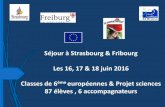 Séjour à Strasbourg & Fribourg Les 16, 17 & 18 juin … · Séjour à Strasbourg & Fribourg Les 16, 17 & 18 juin 2016 Classes de 6ème européennes & Projet sciences ... 1 car avec