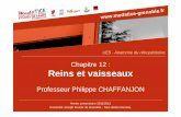 UE5 - Anatomie du rétropéritoineunf3s.cerimes.fr/media/paces/Grenoble_1112/chaffanjon_philippe/... · UE5 - Anatomie du rétropéritoine ... Sa diffusion, duplication, mise à disposition