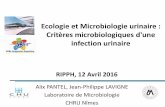 Ecologie et Microbiologie urinaire - cpias-nouvelle .de lâ€™arre urinaire: lithiase, tumeur, reflux