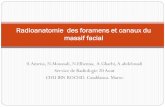 Radioanatomie des foramens et canaux du massif facialpe.sfrnet.org/Data/ModuleConsultationPoster/pdf/2011/1/0b3a25e9-9a... · L’os éthmoïdal: Orifices de la lame criblée de l’éthmoide-La