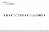 Les Ulcères de Jambe - jnil.fr · personne soignée Organiser à domicile en équipe pluriprofessionnelle un plan de traitement ... grâce aux valvules anti-retour en « nid de pigeon