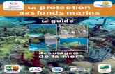 La protection des fonds marins Le guide - nitrogen … · Retrouvez le guide de la mer et ses réactualisations sur le site : ... La mangrove est une formation forestière tropicale