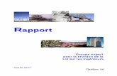 Rapport - opq.gouv.qc.ca€¦ · Rapport du Groupe expert pour la révision de la Loi sur les ingénieurs 7. proposition de modifications qui est acheminée en 1995 au ministre responsable