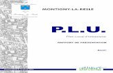TABLE DE MATIERES - Mairie de Montigny la Resle … · 2017-06-13 · 2.1 La présentation des données ... (PPRDF) ... L’analyse du site a été effectuée à partir d'une prise