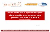 Présentation synthétique des outils et ressources ... · INSEE-ANLCI IVQ 2004-2005 (brochure 24 pages). ... RCCSP En bref », une plaquette synthèse du RCCSP permettant de découvrir