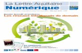 La lettre d’information d’Aquitaine Europe … · 2 LAN / Mai-Juin 2010 - n°27 L’éditorial Sommaire « En avril, ne te découvre pas d’un fil, en mai, fais ce qu’il te