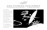 dessins de LI-AN LES VOILES SOLAIRES · Avec le projet de survol de la comète de Halley, ... vaux antérieurs sur le voyage interplanétaire devant la ... y compris celui du voyage