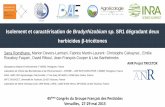 herbicides β - GFP - Groupe Français des Pesticides€¦ · •Rôle important de la dégradation microbienne dans l ... Gènes essentiels à la survie de la souche Absence de ...