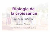 Biologie de la croissancetisba.andy.free.fr/Fac/Cours/S6/Cours Guigui/Physilogie des aps/CM... · 2. Nature des processus de croissance et de maturation / vue d’ensemble Croissance