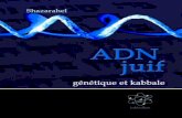 ADN juif, génétique et kabbale 1 - kabbaland.comkabbaland.com/cinuweb/fotocinuweb/wpubblicazioni/ADN juif/ADN... · Le simple fait de lire le présent extrait du livre ADN juif,