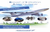 BIA B Initiation Aéronautique - Lycée français de … BIA Ambassadair.pdfModule 3 : Aérodynamique et mécanique du vol Résistance de l’air : Causes, résistance sur une plaque