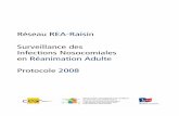 Réseau REA-Raisin Surveillance des Infections …invs.santepubliquefrance.fr/publications/2007/rea_raisin/rea... · méthodologie du réseau, de participer à l'animation du réseau.