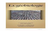 P. Dominique Auzenet 1 La géogiologie - …sosdiscernement.org/e-books/sosd_01_geobiologie.pdf · en plus intensément la méditation, et avait adopté un comportement alimentaire