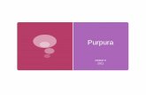 Purpura - Faculté de médecine de Montpellier · PDF file- Devant un purpura chez l’enfant ou chez l’adulte, argumenter les principales hypothèses diagnostiques et justifier
