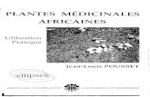 1 PLANTES MEDICINALES AFRICAINES régions employer les plantes traditionnelles, aux pharmaciens, aux infirmiers, pour les soins de santé primaires et, pour tous ceux qui par conviction