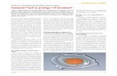 L’œuf et ses mécanismes de protection contre les … · 8 AS 6·7/07 Aviculture suisse Le fournisseur d’œufs est très souvent confronté à des clients qui estiment qu’un